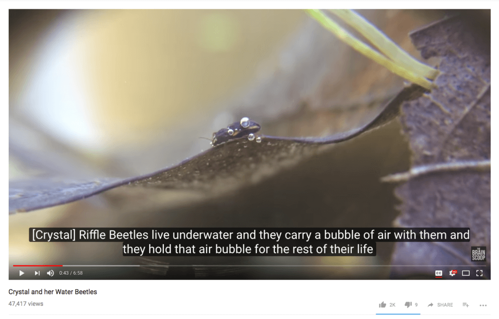 screenshot of a youtube video player with closed captions