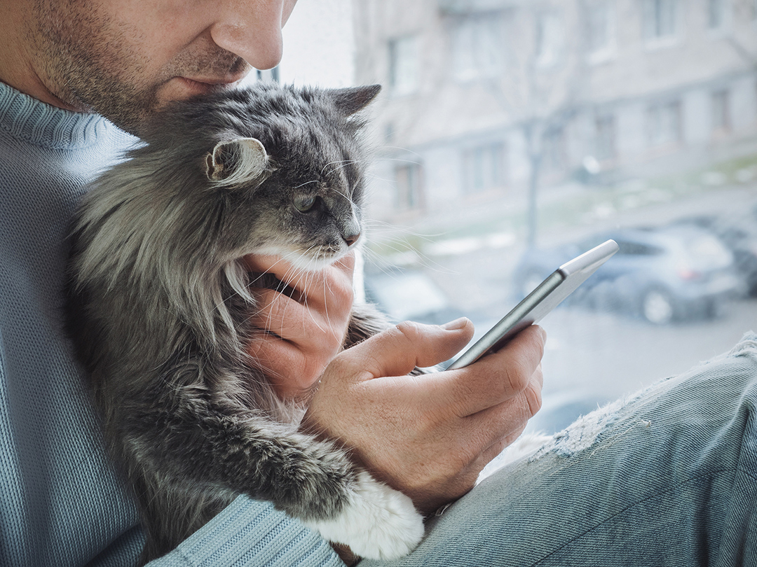 Pet owner holding cat and smartphone